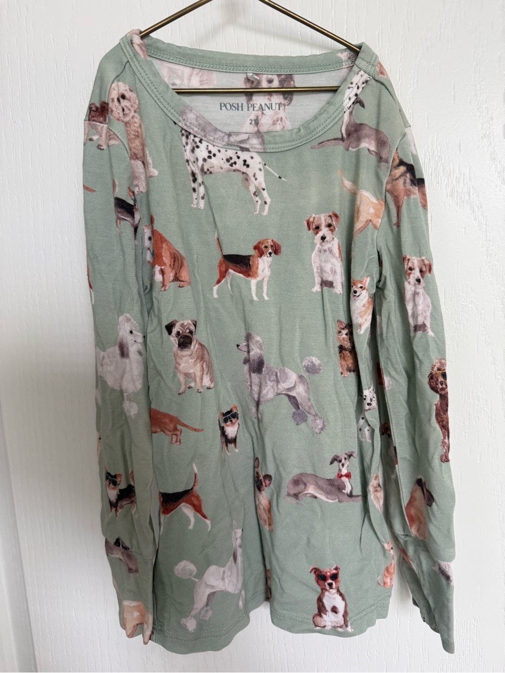 Posh Peanut Sage Dog Print PJ Set